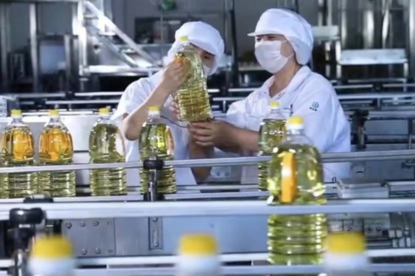 千赢-qy88(国际)官网首页