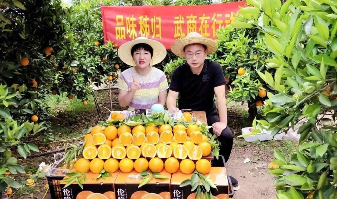 千赢-qy88(国际)官网首页